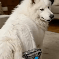 Pro Pet Grooming Deshedding Tool
